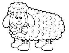 sheep
